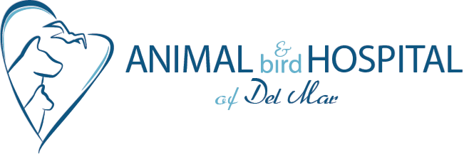Animal and Bird Hospital of Del Mar